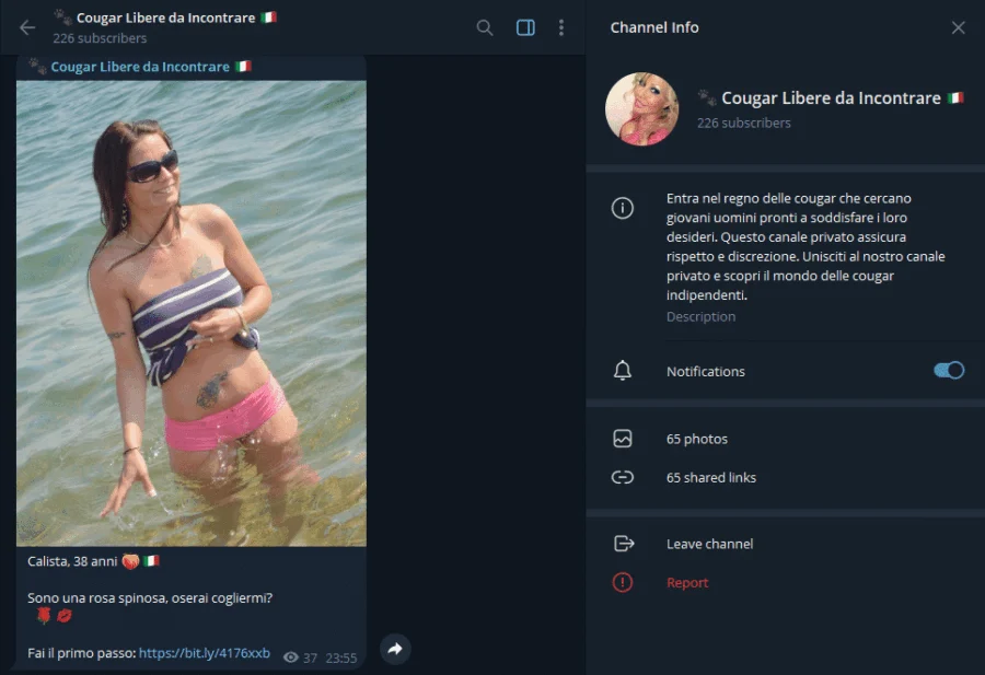Anteprima del gruppo Telegram Cougar Libere da Incontrare